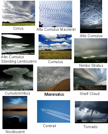 Different Types of Clouds | Do you know them all?